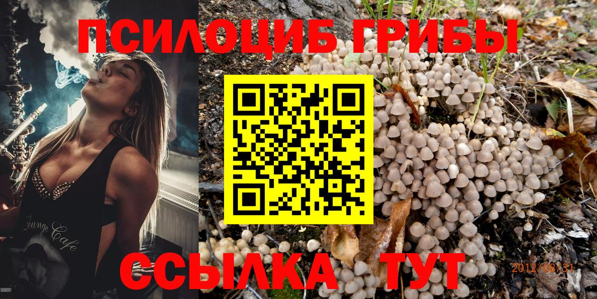 Псилоцибиновые грибы мицелий Архангельск